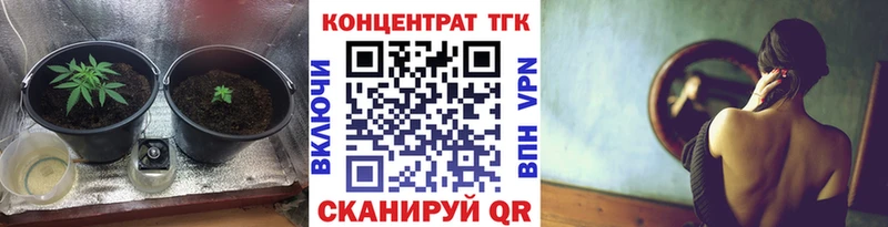 Купить  Кингисепп  ТГК концентрат 